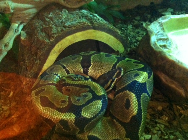first time in his new home!!!