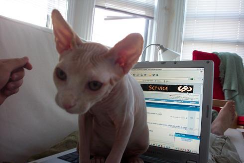 always sitting on the comp