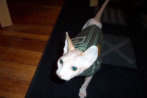 canine patrol jacket