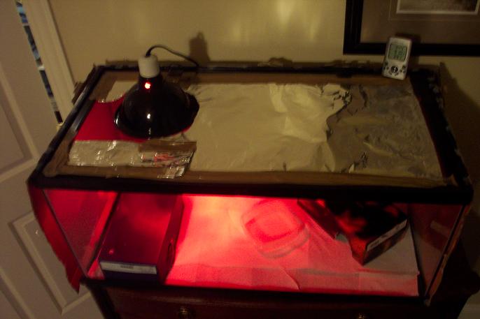 Aza new set up