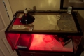 Aza new set up