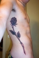 grey shaded rose up my side