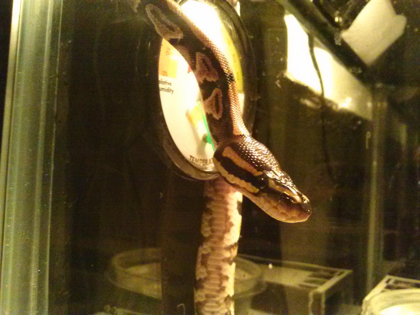 Just Hanging Around
