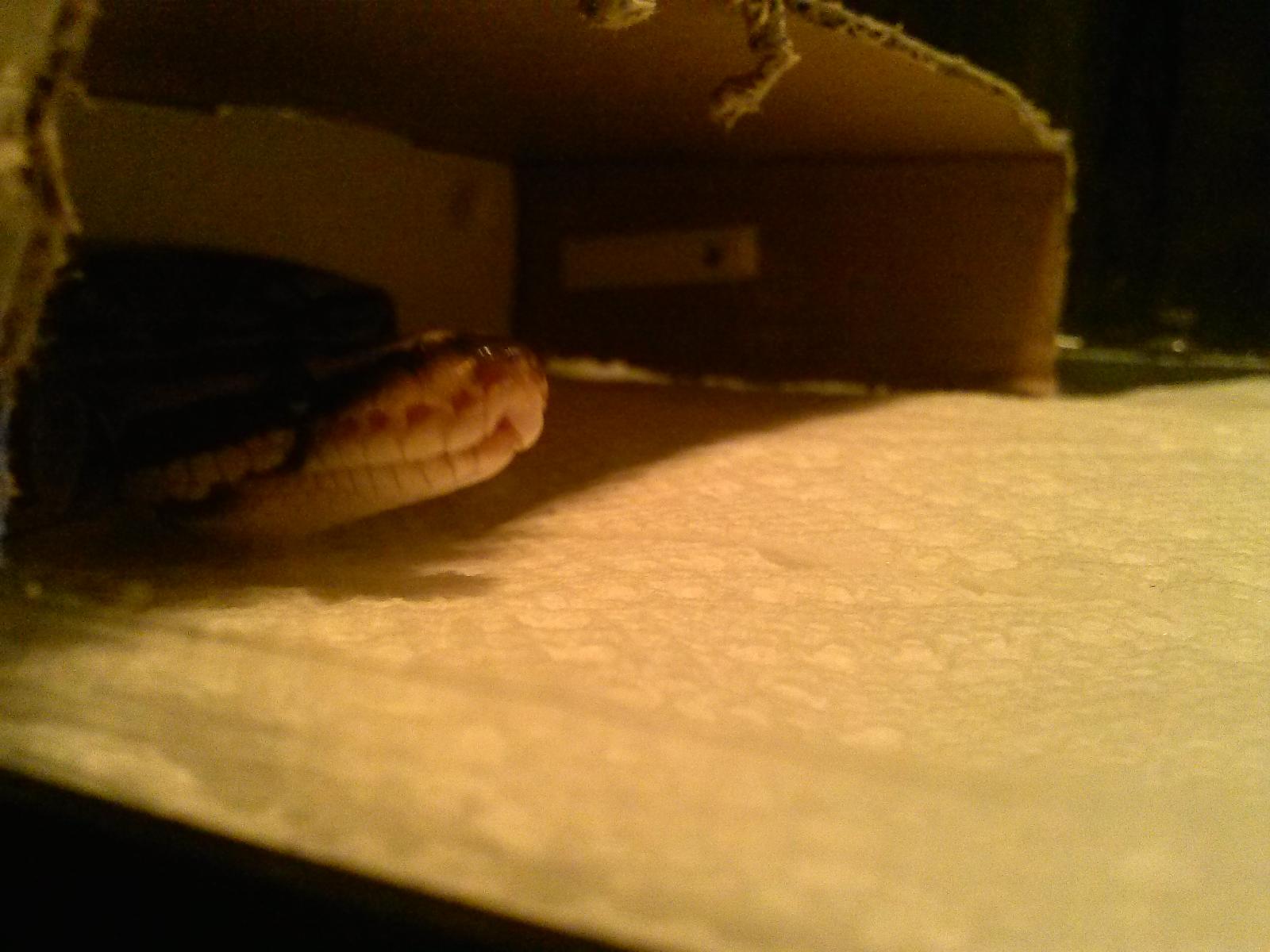Peeking