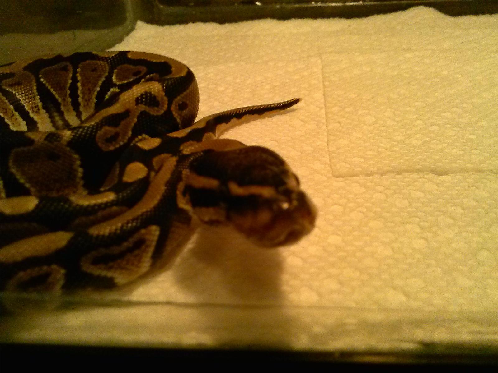 Watcha' Doin'?