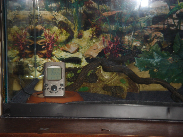 Picture010