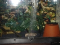 Picture011