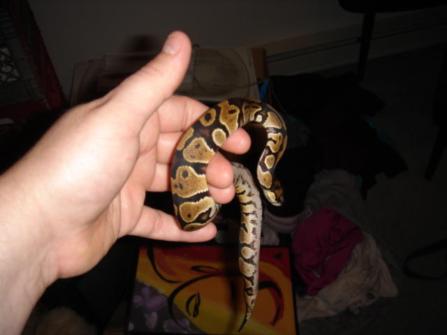 Picture014
