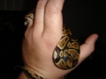 Picture021
