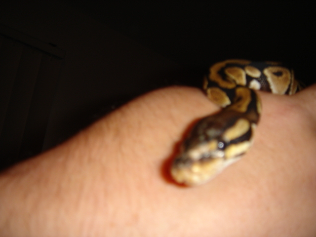 Picture022