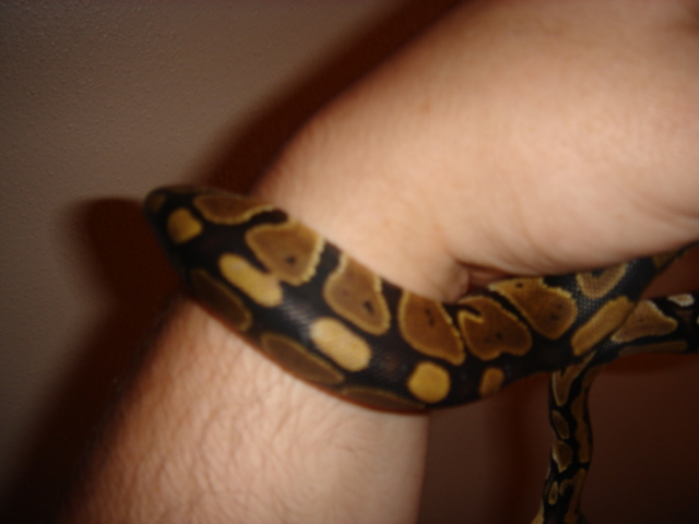 Picture028