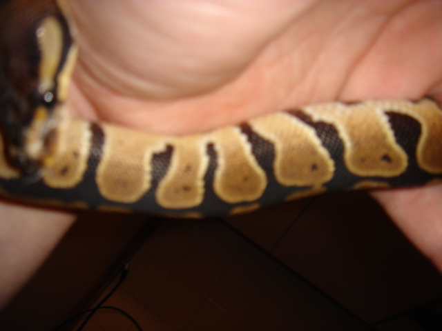 Picture034