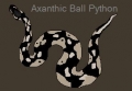 axanthic ball