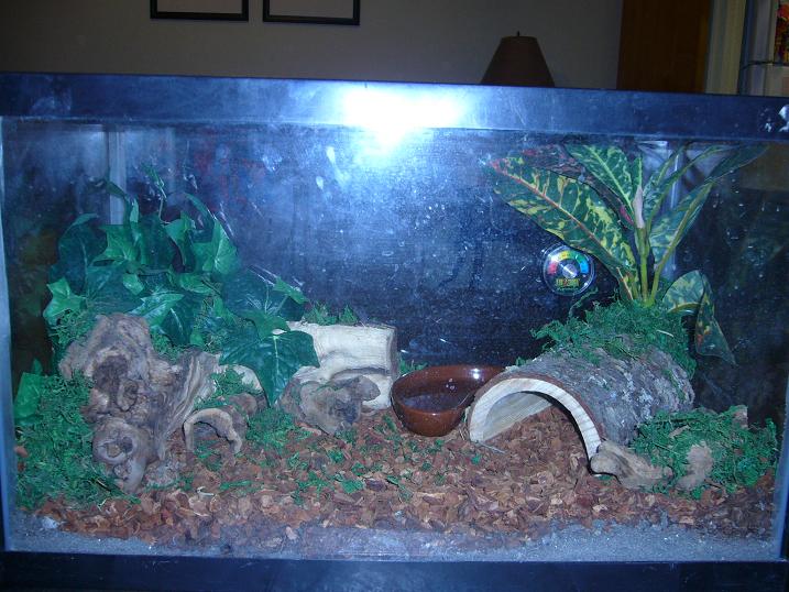 Snakey