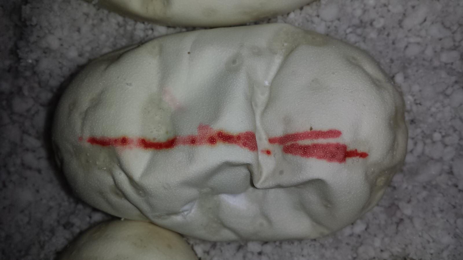 image 406369