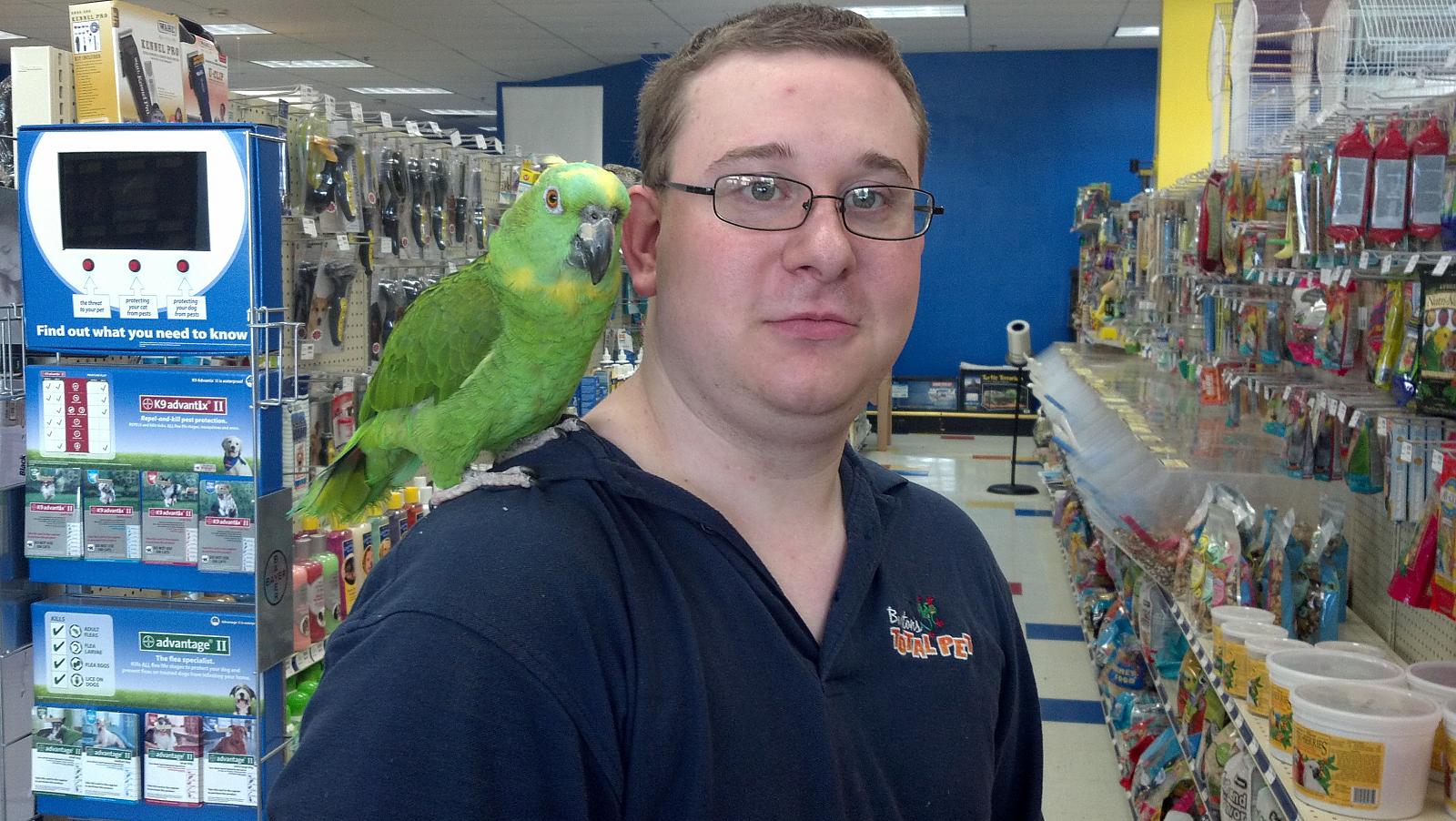 lolita the yellow naped