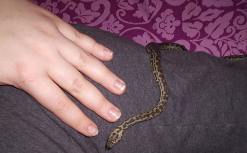 cora2