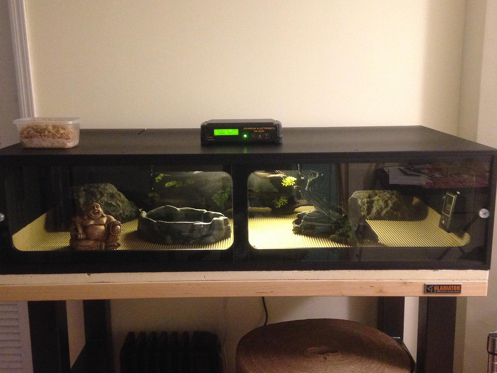 New cage setup