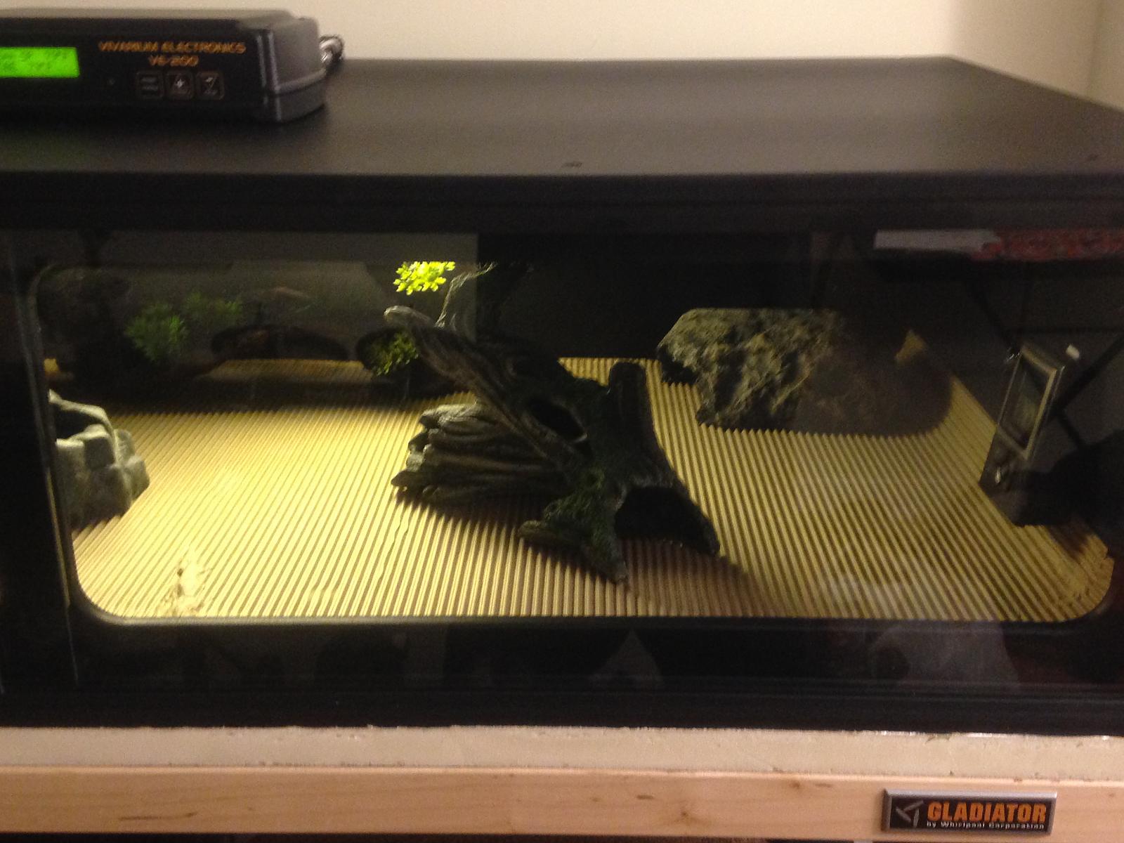 Right side of new cage setup