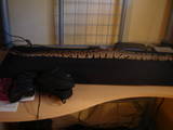 My Snake Tito
