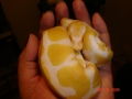 Dsc02150