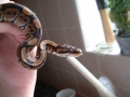 My mont.
