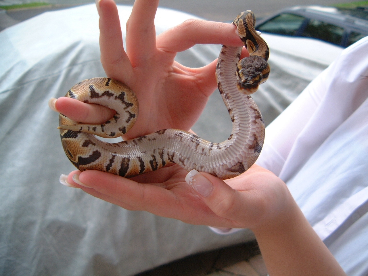 Coiled Around My Fingers