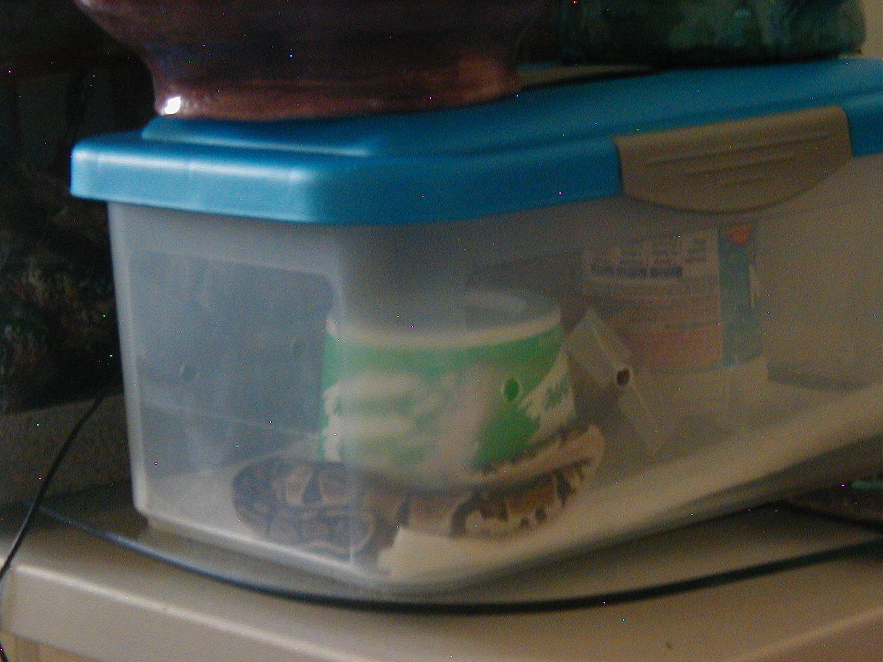 Lydia's tub