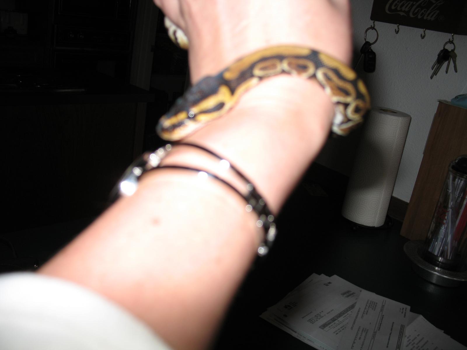 new baby