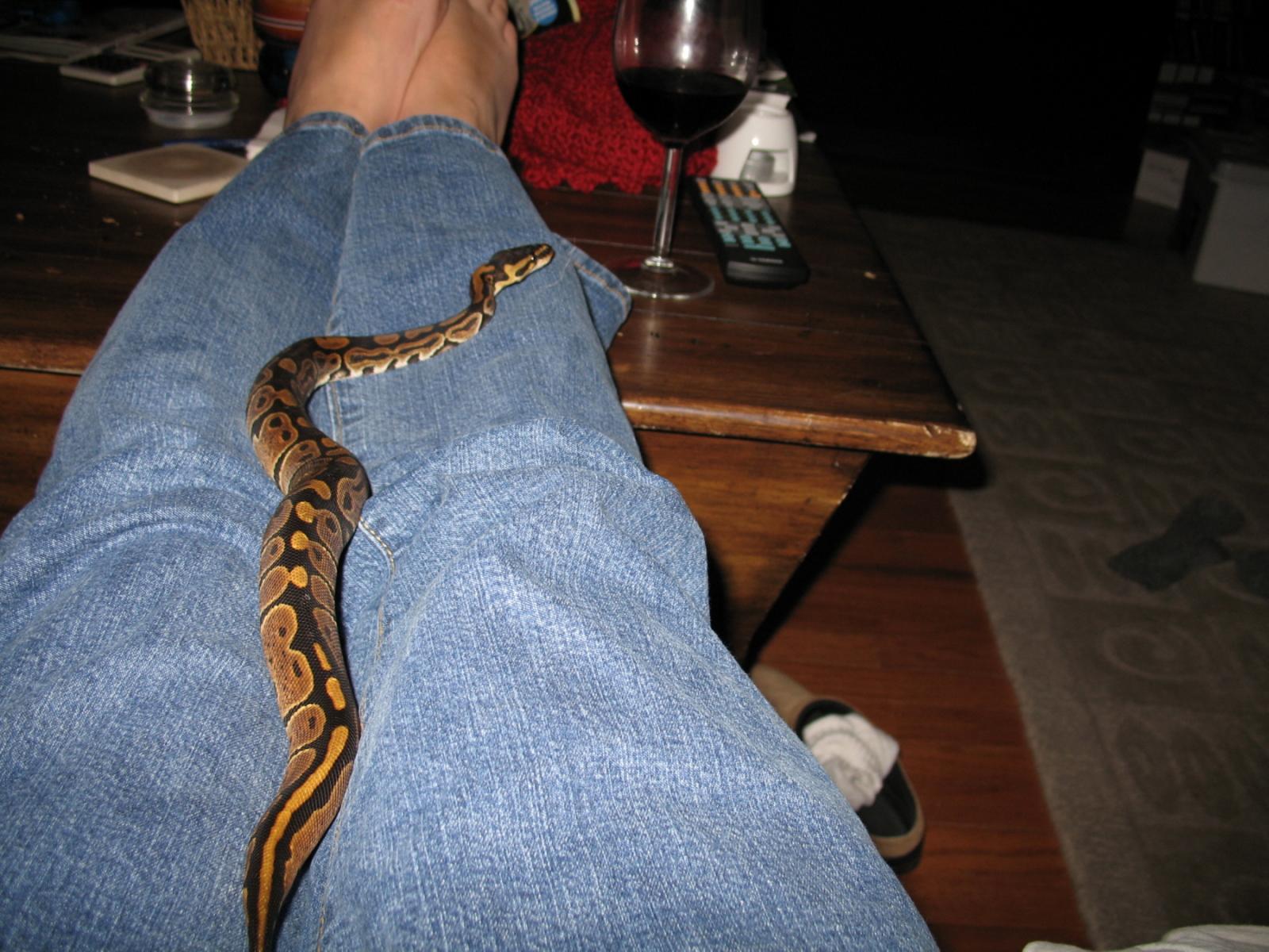 niobi streched out