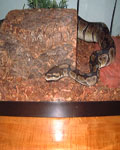 My buddy Maynard