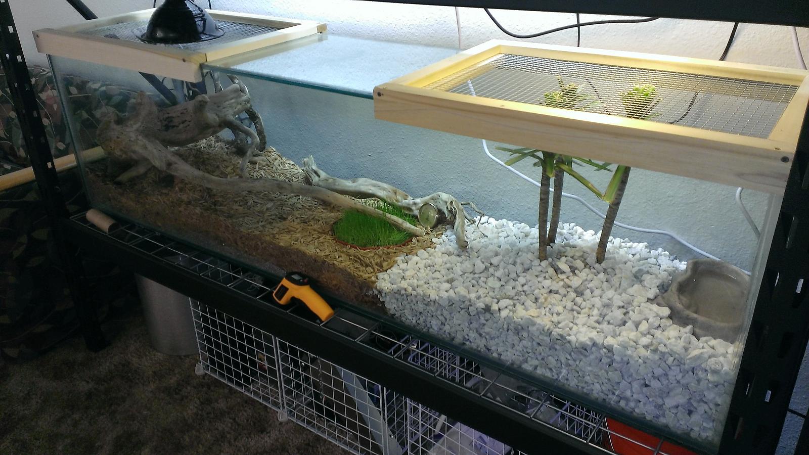 200gal tank