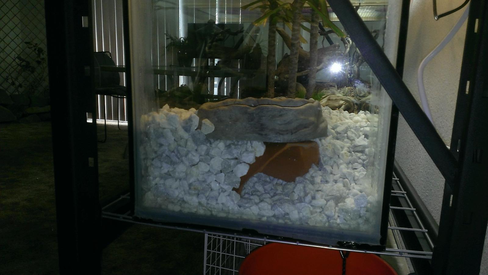 cool hide