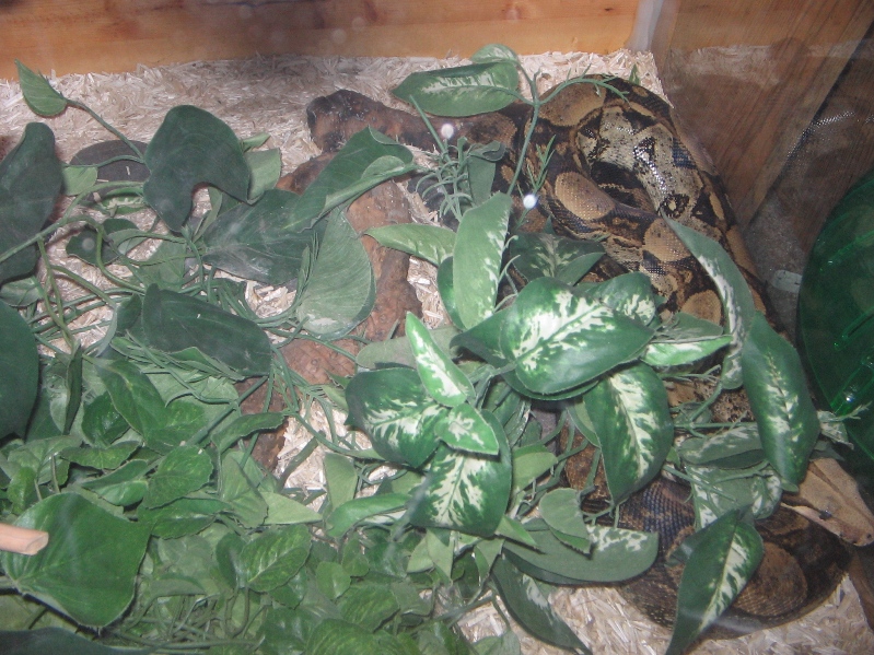 Can you spot him?