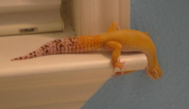 Sonny On Ledge