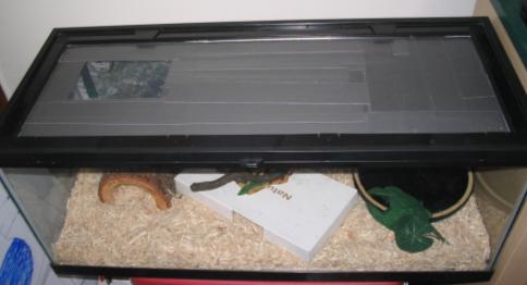Starter tank