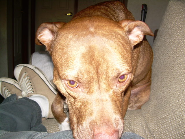 firstpics002