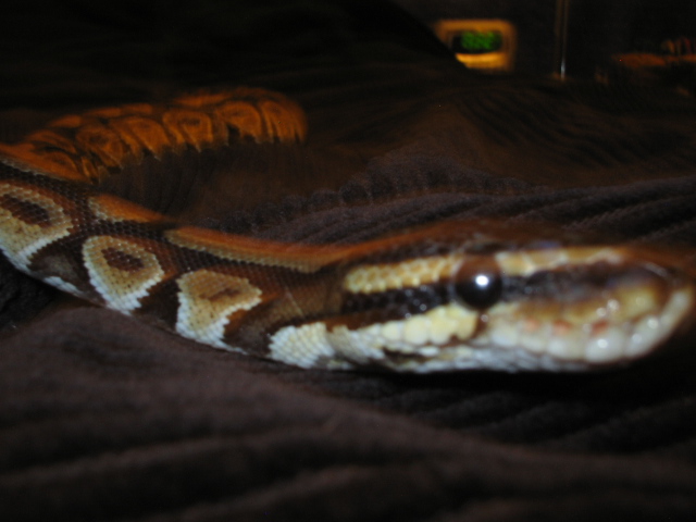 Floyde Pics 004