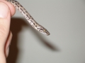 myspotted2