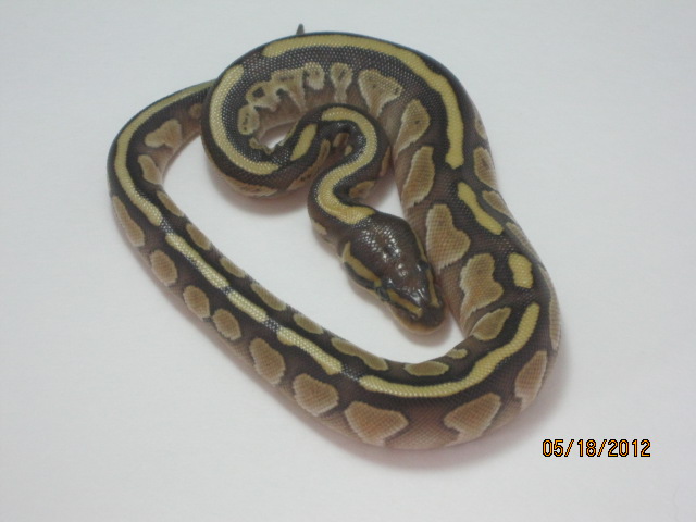 granite butter canadas first