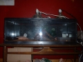 DSCF0100