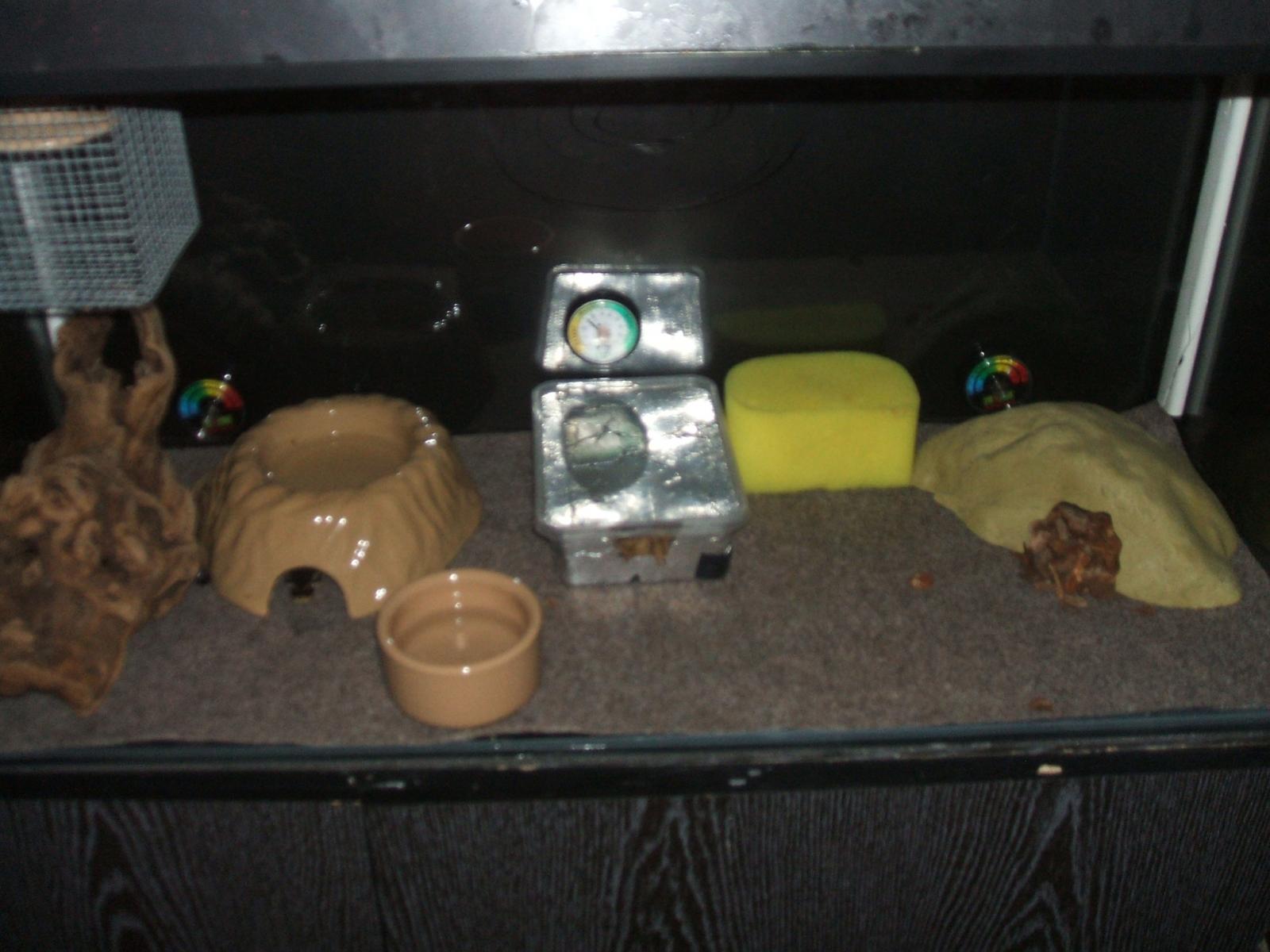viv setup