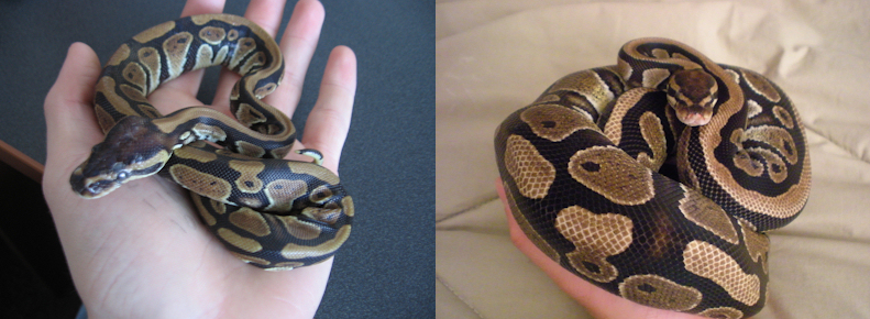 Before And After