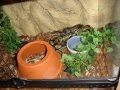 DSC00709