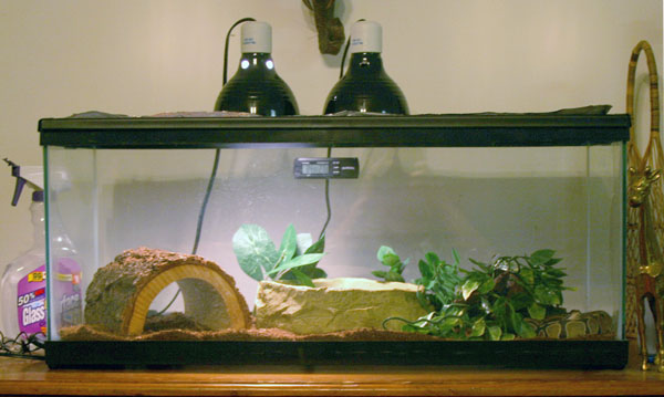 BP-Cage