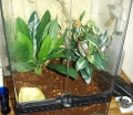 setuptop
