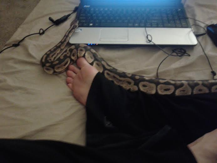 My BP