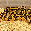 Our latest edition
