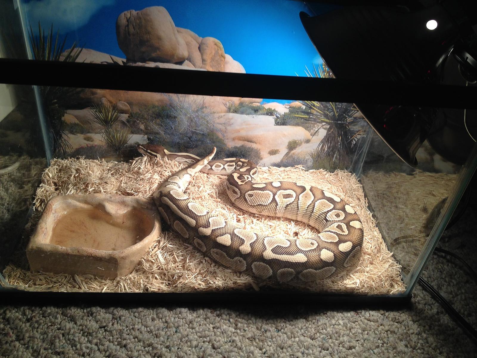 Hyperion