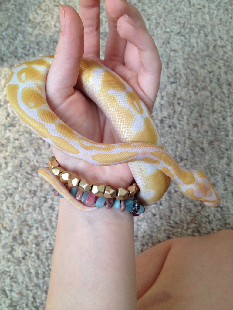 Mandarin